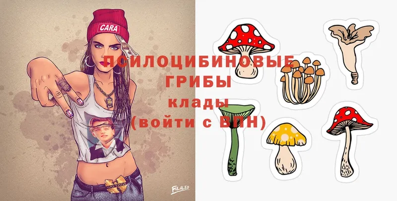 наркошоп  Набережные Челны  Галлюциногенные грибы Magic Shrooms 